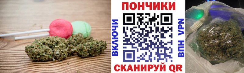 Cannafood конопля  Балтийск 