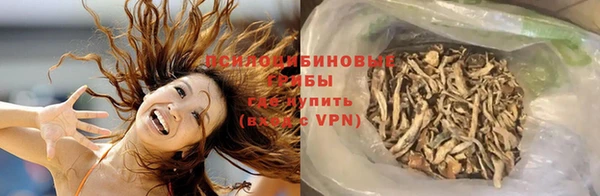 герыч Няндома