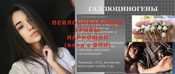 МДПВ Нязепетровск