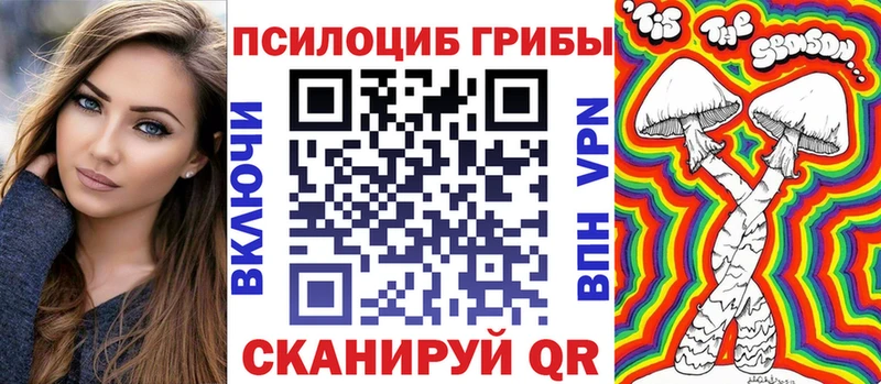 Псилоцибиновые грибы Psilocybine cubensis Балтийск