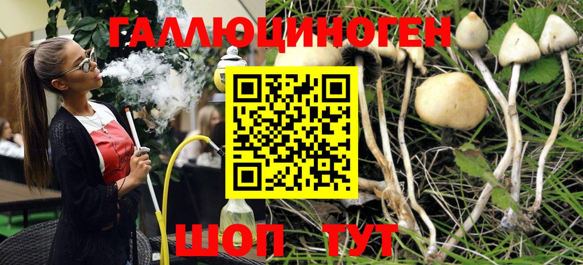 Галлюциногенные грибы Psilocybe  Галлюциногенные грибы Magic Shrooms  Балтийск  Вход с VPN 